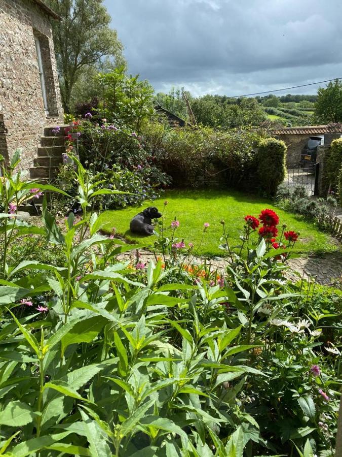 Higher Biddacott Farm Chittlehampton Dış mekan fotoğraf